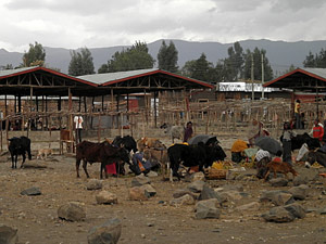Rindermarkt