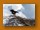 Steppenadler | Steppe Eagle | Aquila nipalensis