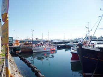 Am Hafen von Rejkjavik