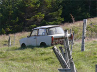 Trabbi