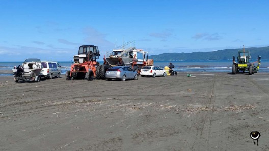 Kapiti Island verabschiedeten wir uns - ähnlich wie Stewart Island, mit Wehmut und sahen nochmals hinüber zu den grünen Bergen mit ihren Saddlebacks, Hihis und den frechen Kakas.