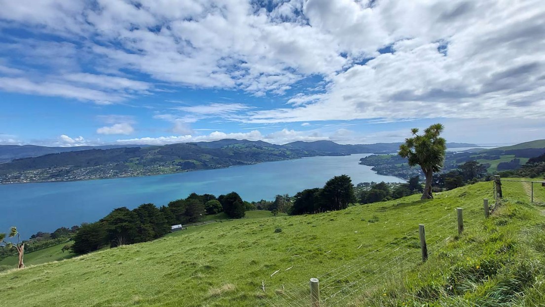 Weitblick auf die Bucht von Dunedin