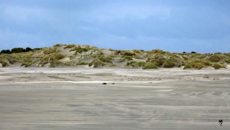 Westseite des Farewell Spit 