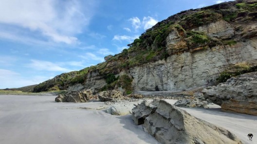 Formation am Farewell Spit mit Fossilien