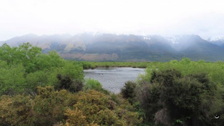 Am Glenorchy Walkway.