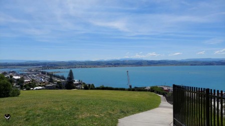 Vom Bluff Hill Lookout sahen wir hinunter zum Hafen.