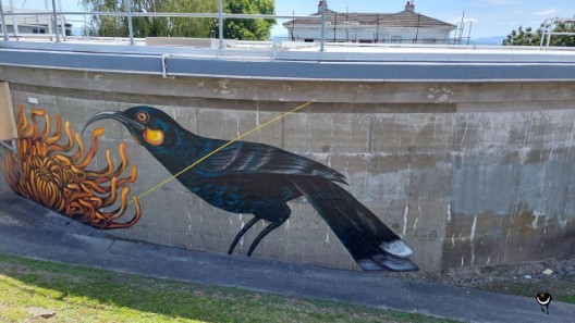 Oben auf dem Hügel begegneten wir erneut dem Huia. Dieser besondere Vogel ist in der Erinnerung wirklich omnipräsent.