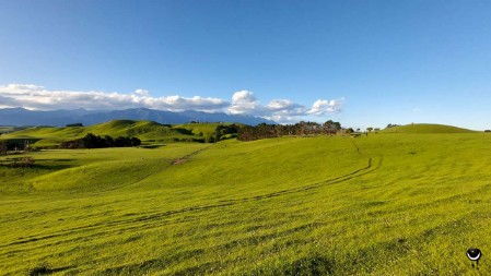 Es war wie auf einer Alm mit Meerblick.