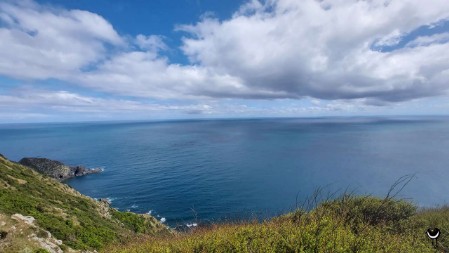 Am zweiten Tag auf Kapiti Island wanderten wir zum Western Lookout mit weitem Blick über die Tasman Sea.