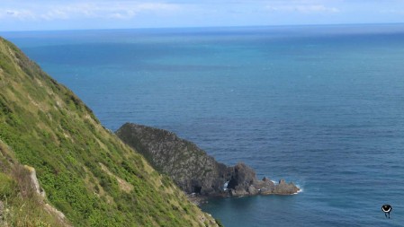 Am zweiten Tag auf Kapiti Island wanderten wir zum Western Lookout mit weitem Blick über die Tasman Sea.