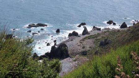 Am zweiten Tag auf Kapiti Island wanderten wir zum Western Lookout mit weitem Blick über die Tasman Sea.