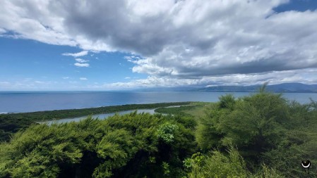 Der Wald in diesem Teil der Insel wurde erst wieder aufgeforstet.