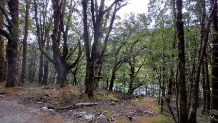 Wanderung zu den Blue Pools