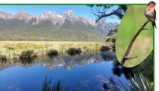 Mirror Lakes - Spiegelseen