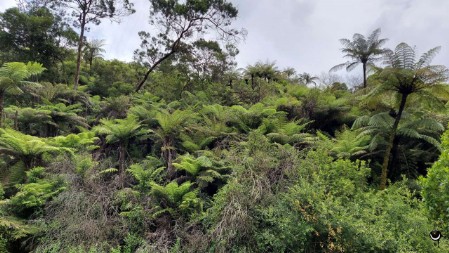 Owrahoha Falls