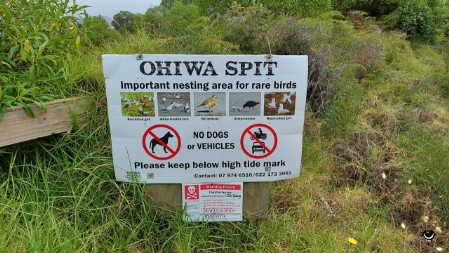 Ohiwa Spit