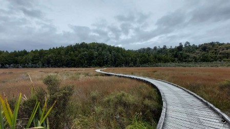 An der Okarito Lagune wanderten wir los.