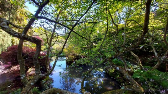 Parklandschaft mit Bach 2