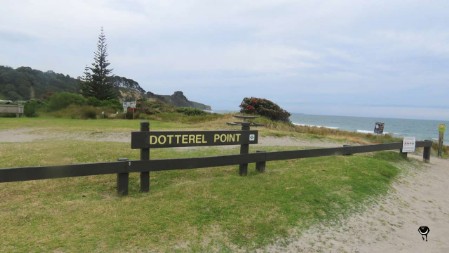 Dotterel Point