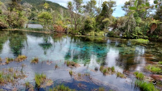 Te Waikoropupu Springs