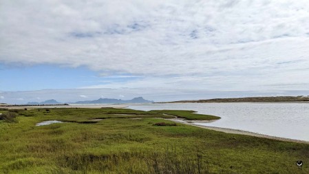 Naturreservat an der Mündung des Waipu River