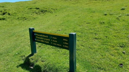 Unsere Wanderung zum Whakariki Beach am Vormittag