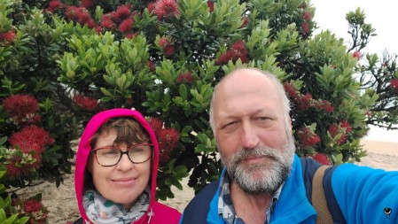 Uns zog es nach Mangawhai,  mit kleinem Zwischenstopp am Langs Beach mit dem blühenden Chrismas Tree.