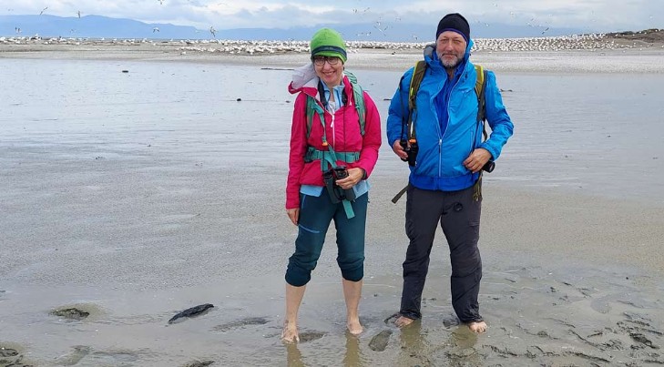 Zwei Vogelbeobachter vor einer Kolonie Australischer Tölpel am Farewell Spit in der Golden Bay, Neuseeland