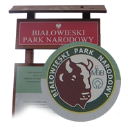 Bialowieza