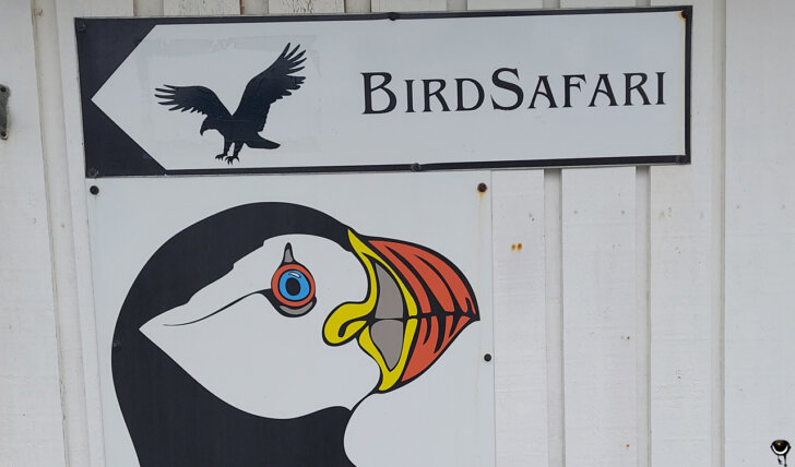 Schild am Büro von BirdSafari in Gjesvær, dem Ausgangspunkt unserer Bootstour zu den Gjesværstappan.