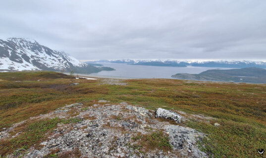 Weite Fjordlandschaft mit felsiger Hochfläche im Vordergrund und schneebedeckten Bergen rund um den Kvænangenfjord unter einem bewölkten Himmel.