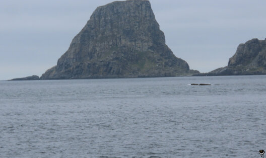 Blick vom Meer auf eine der steilen felsigen Vogelinseln der Gjesværstappan in Nordnorwegen.