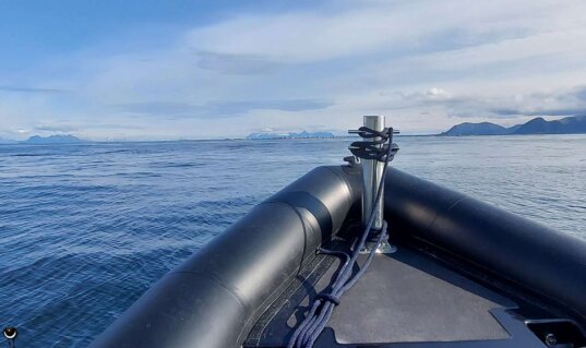 Rückfahrt nach der Walsafari mit dem RIB-Boot bei ruhiger See nach Andenes