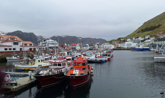 Blick über den Hafen von Honningsvåg mit Fischerbooten und Ausflugsschiffen vor den steilen Bergen von Magerøya.