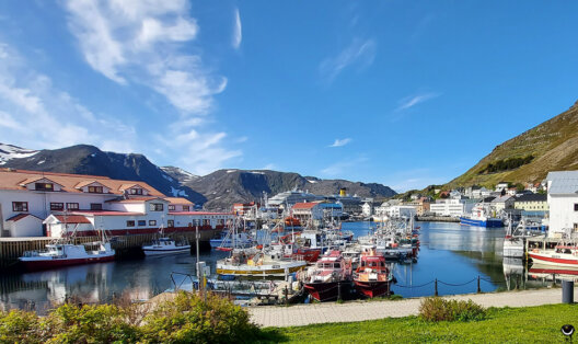 Hafen von Honningsvåg im Sommer 2025 mit Fischerbooten, Häusern und Bergen unter blauem Himmel.