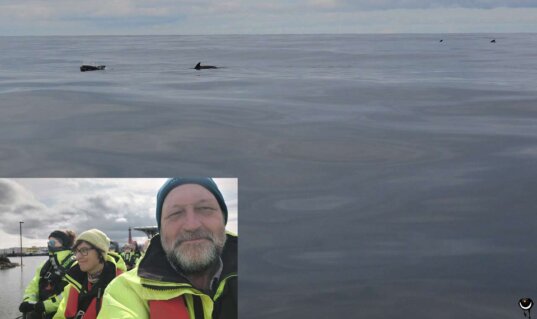 Teilnehmer im RIB-Boot auf dem Weg zur Walsafari vor Andenes