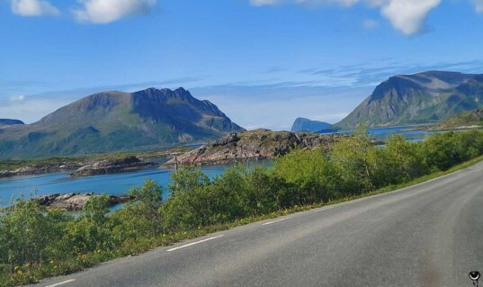 Küstenstraße zwischen Fjord, Felsen und Bergen auf der Fahrt durch die Lofoten