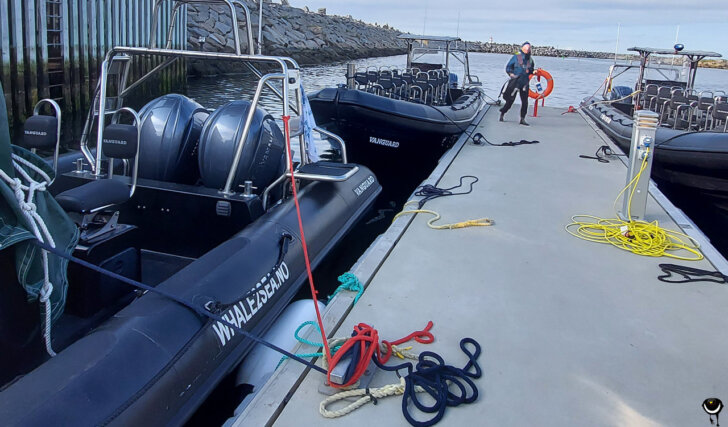 RIB-Boote von Whale2Sea und Whalesafari Andenes im Hafen vor der Walsafari