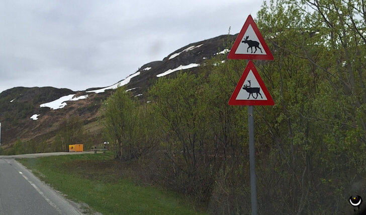 Zwei dreieckige Warnschilder für Elche und Rentiere an einer Straße durch die nordnorwegische Berglandschaft.