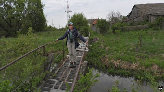 Diese kleine Brücke über die Nerewka ist für Fußgänger ausgelegt und wird durch Platten stabilisiert.