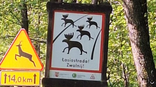 Stilisierte Elche  und ein Reh zeigen an, dass hier mit Wildwechsel zu rechnen ist