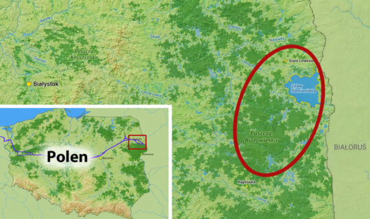 Großer Kartenausschnitt und Zoomkarte auf die erste Etappe, das Gebiet um Hajnowka, östlich von   Białystok.