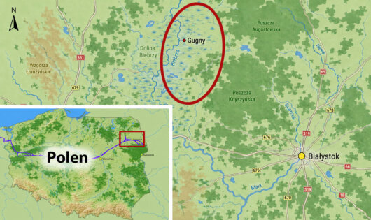 Gut eine Woche waren wir in Wäldern und Flußniederungen Nordostpolens unterwegs 