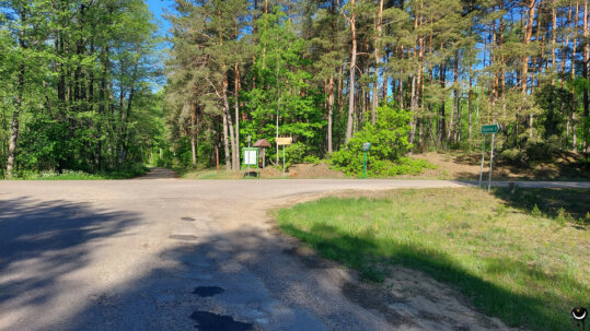 Die Zarenstraße führt schnurgerade durch die Sümpfe der Biebrzaniederung