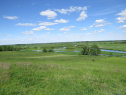 An der Narew