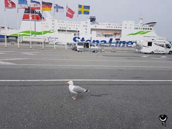 Fährhafen Rostock