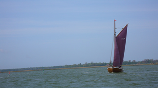 Zeesenboot Dorothea