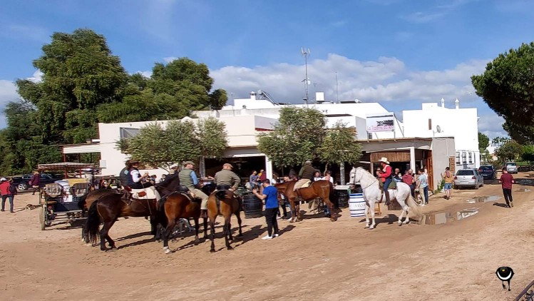 El Rocio