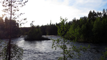 Abendwanderung am Oulanka