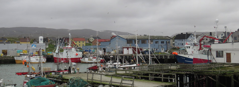 Fischereihafen von Berlevåg